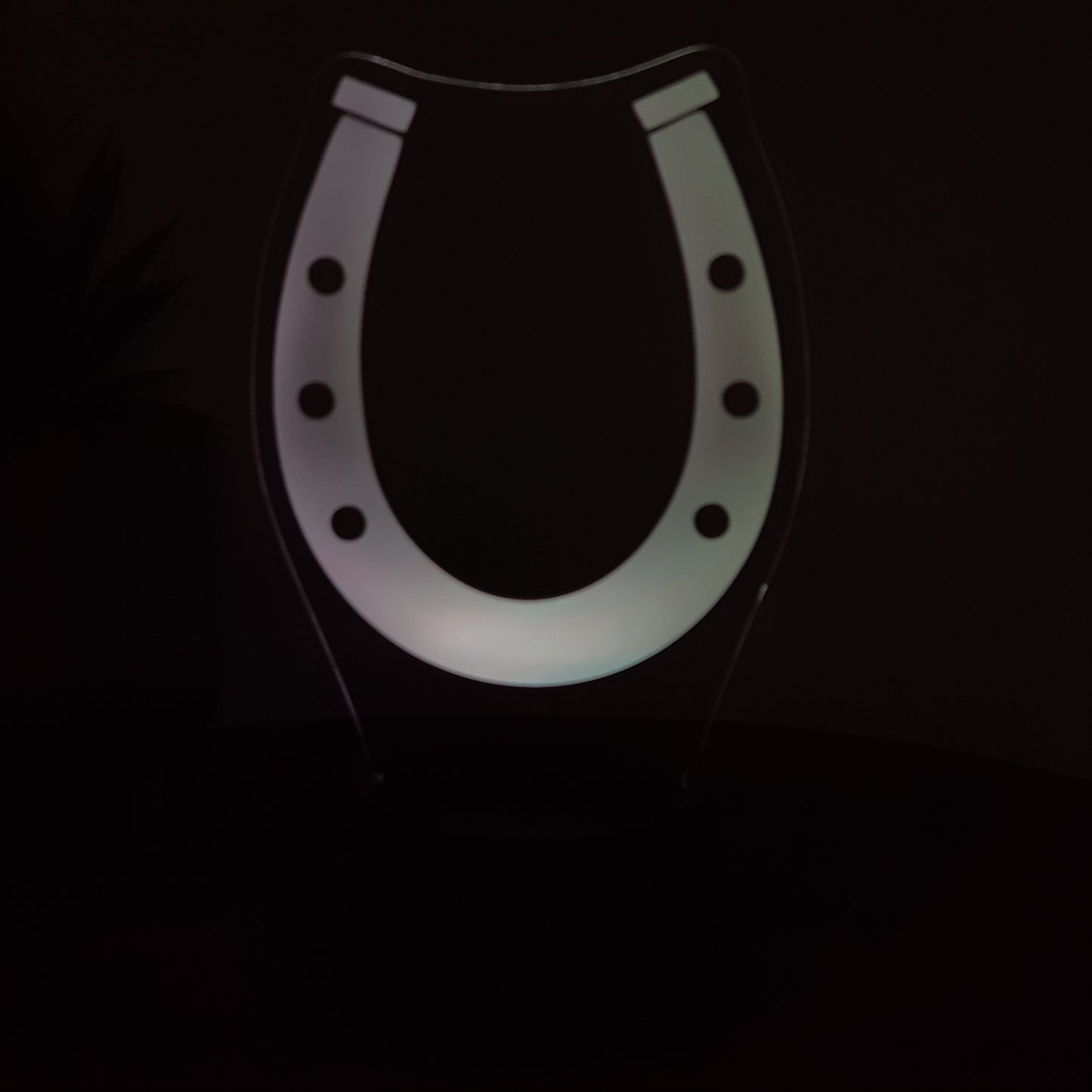 LED Lampe Hufeisen