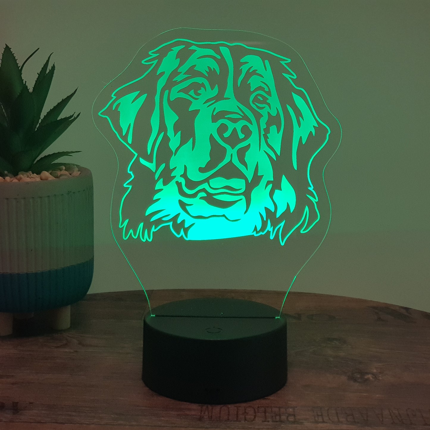 LED Lampe Berner Sennenhund