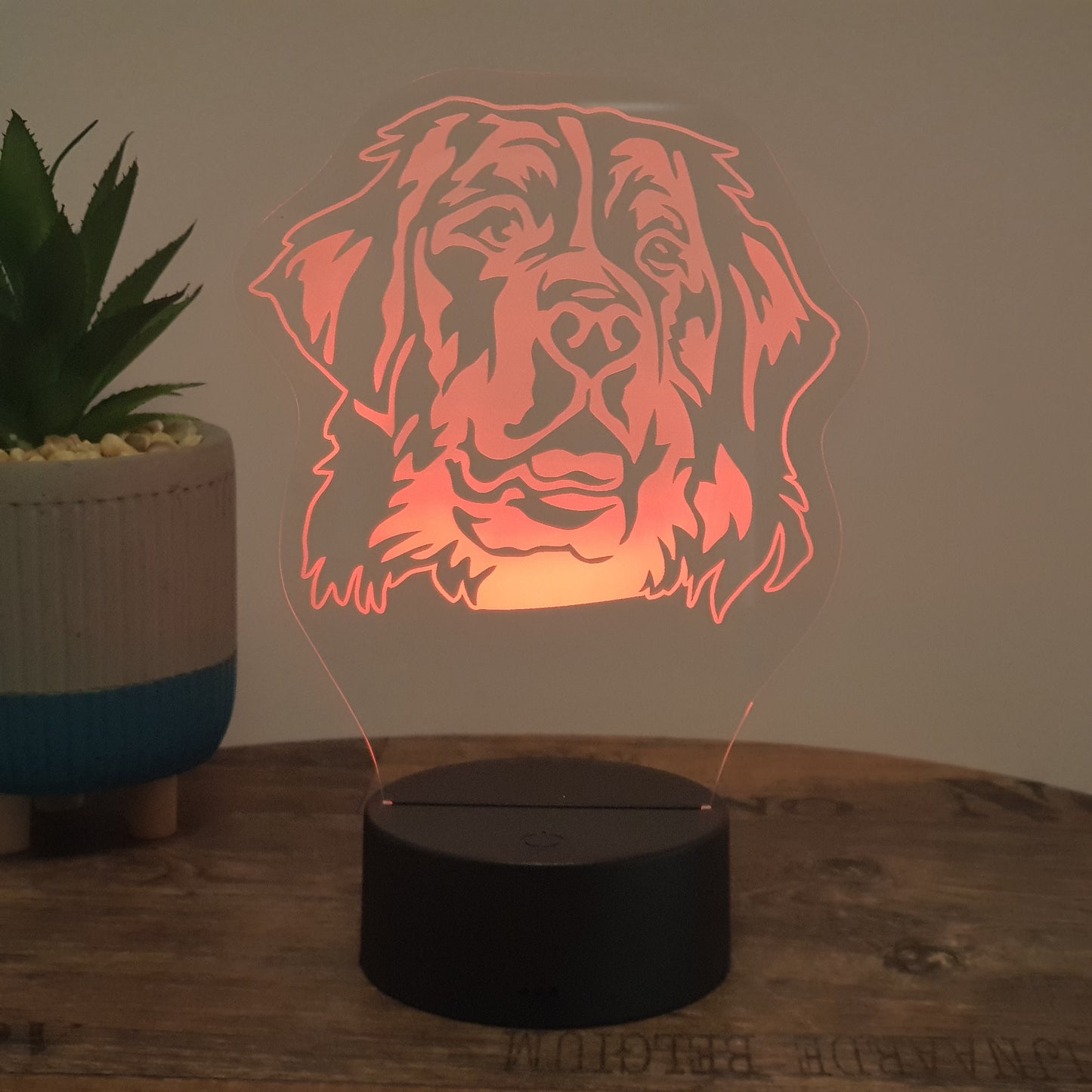 LED Lampe Berner Sennenhund