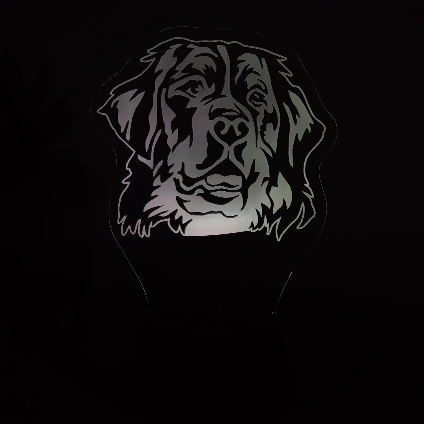 LED Lampe Berner Sennenhund