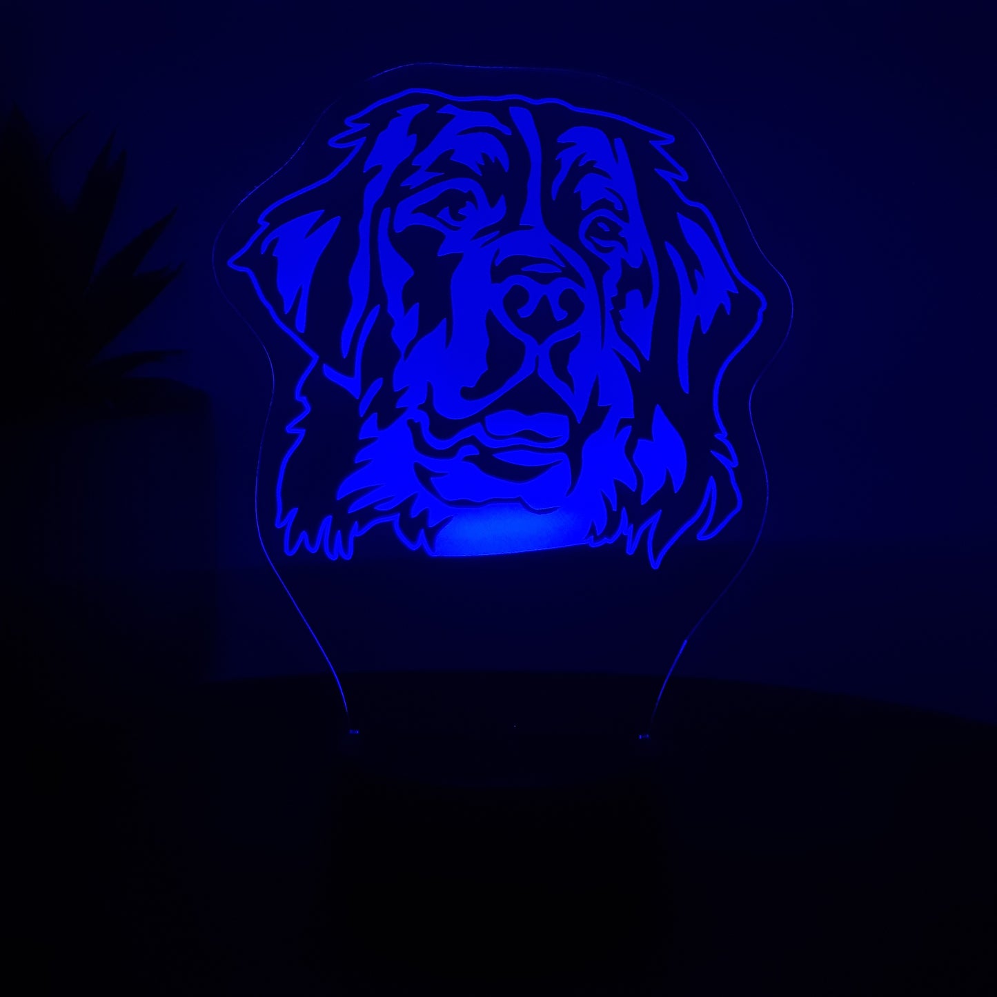 LED Lampe Berner Sennenhund