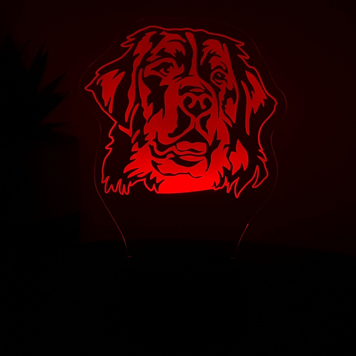 LED Lampe Berner Sennenhund
