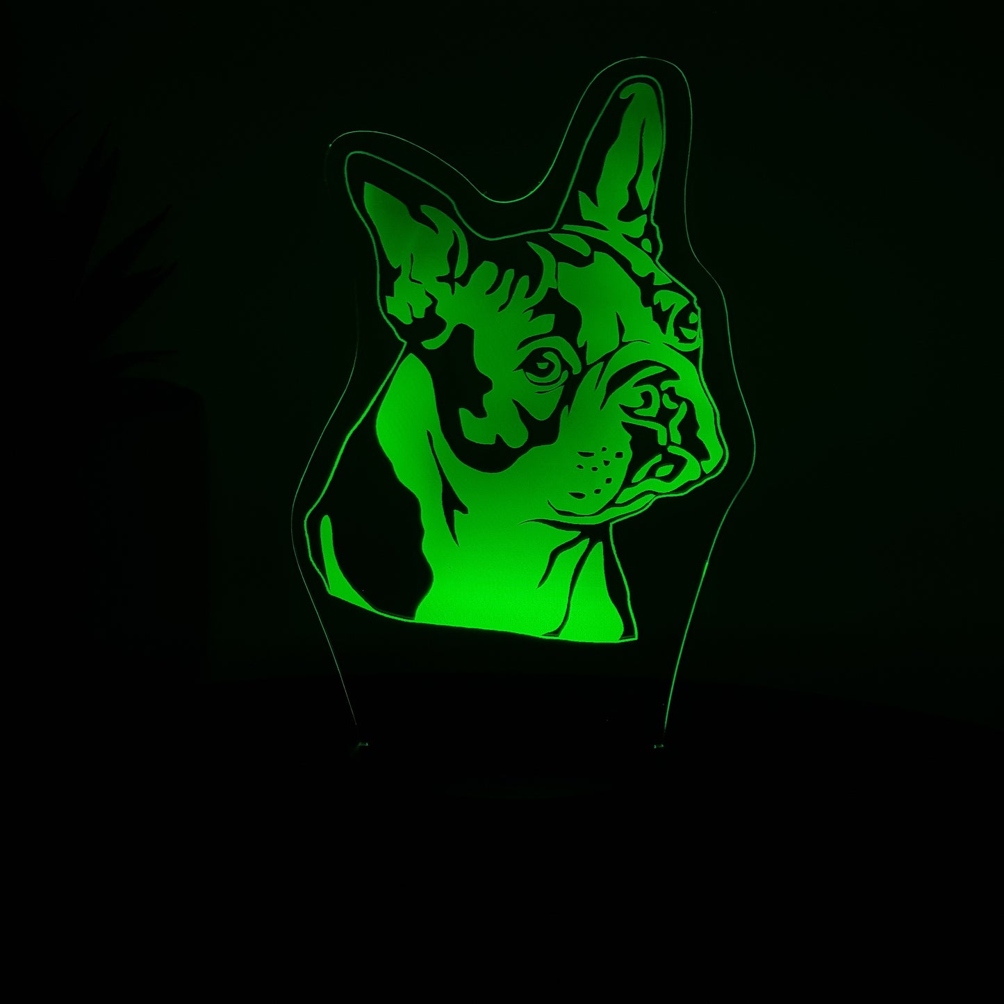 LED Lampe Französische Bulldogge