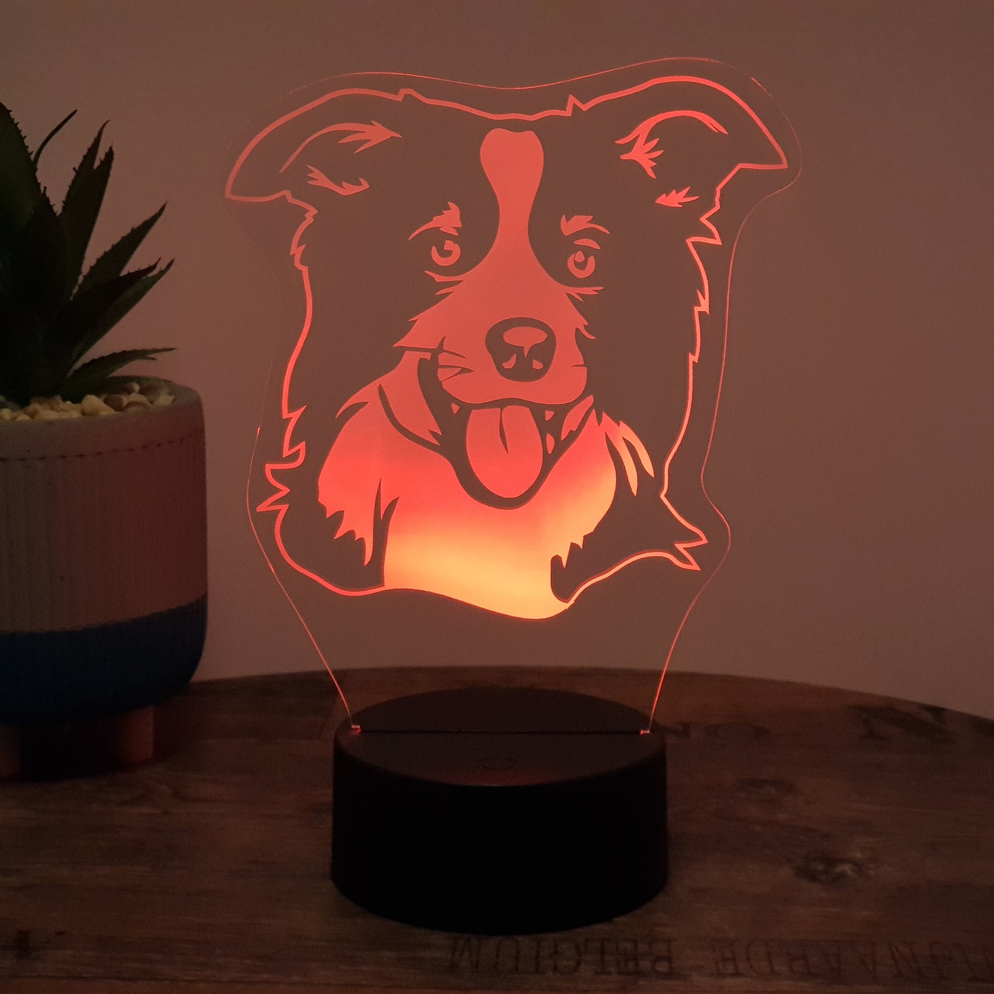 LED Lampe Hund / Border Collie