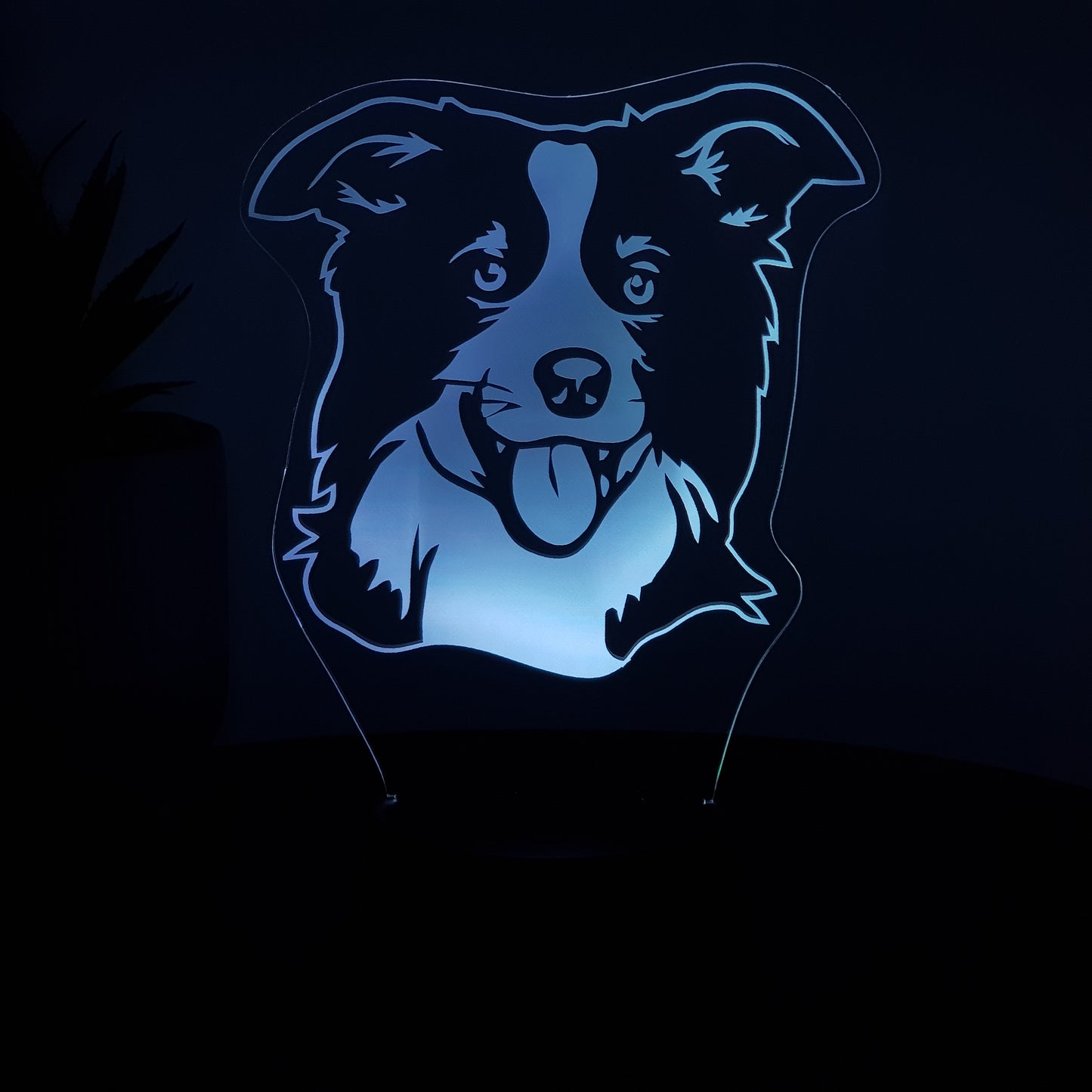 LED Lampe Hund / Border Collie