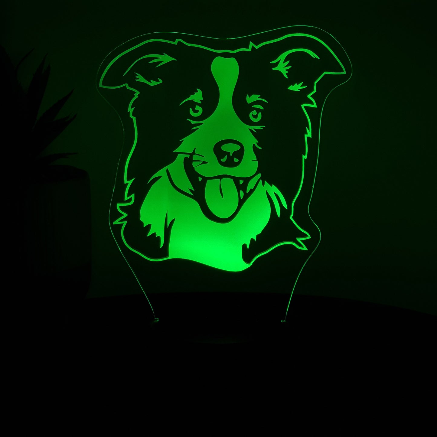 LED Lampe Hund / Border Collie