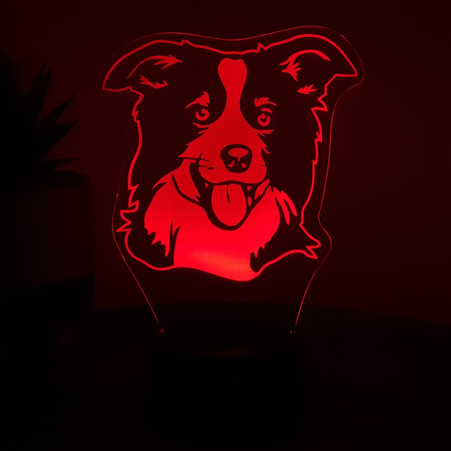 LED Lampe Hund / Border Collie