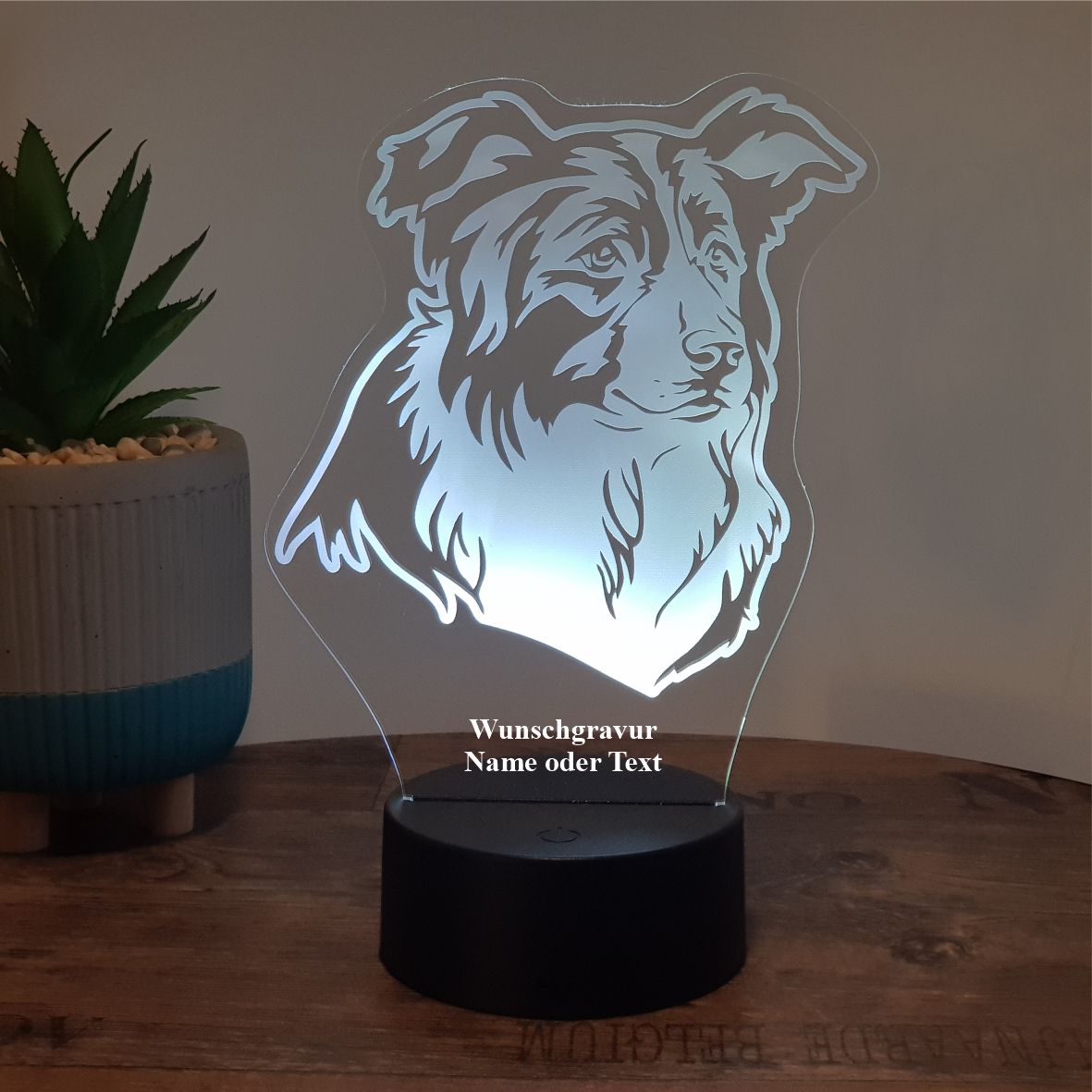 LED Lampe Hund - Australien Shepherd
