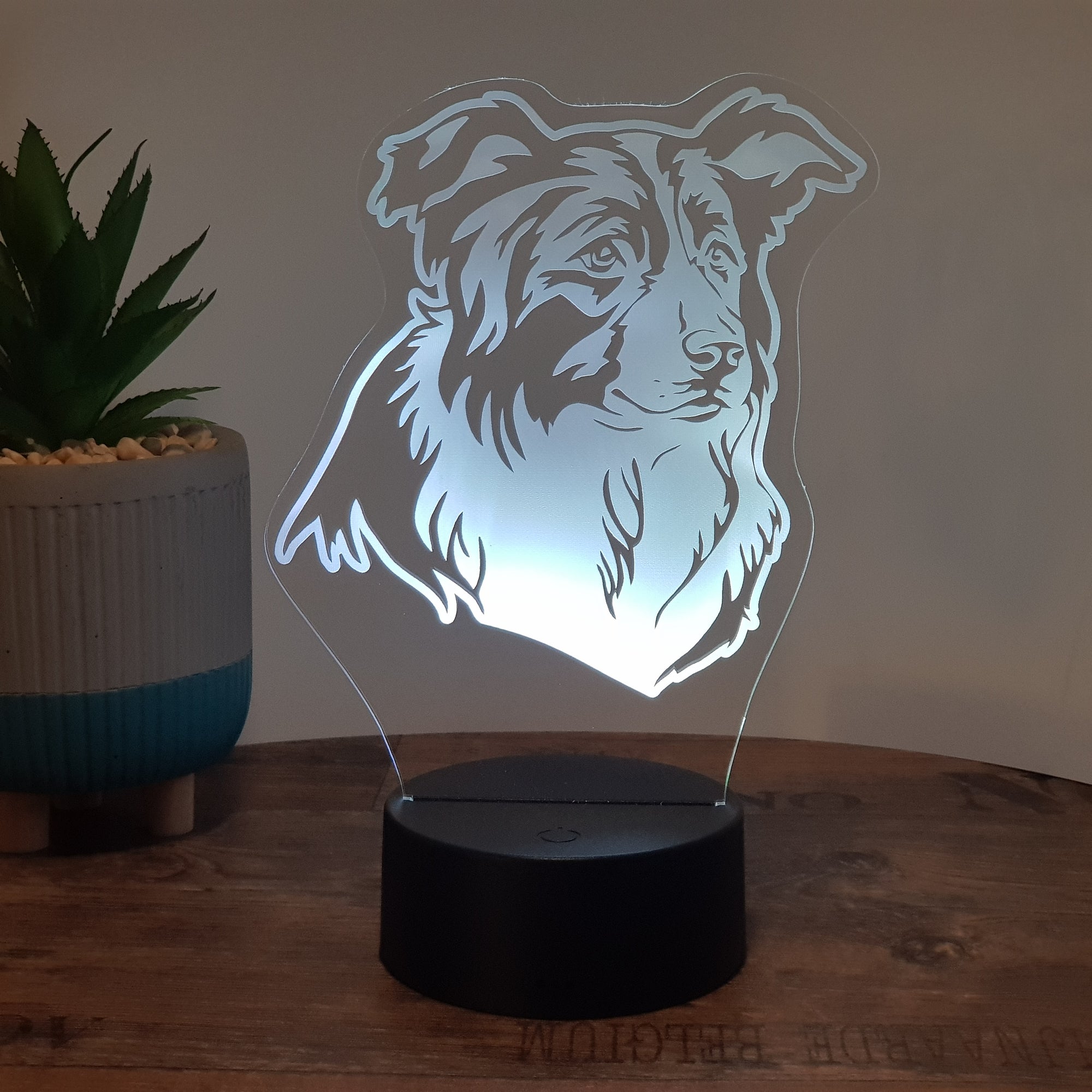 LED Lampe Hund - Australien Shepherd