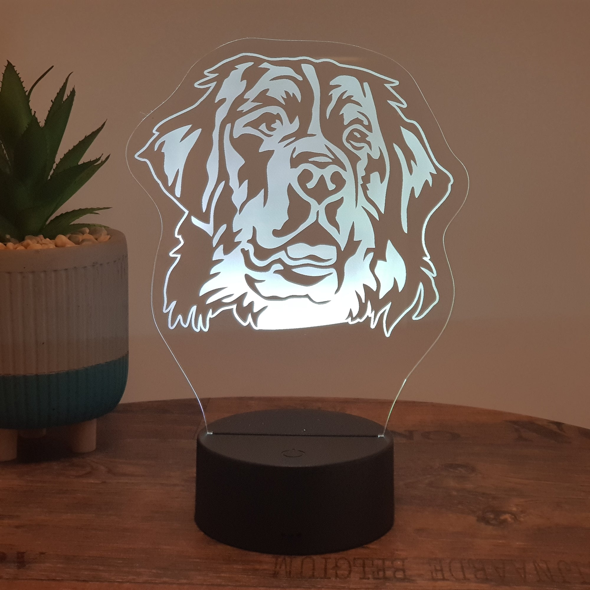LED Lampe Berner Sennenhund
