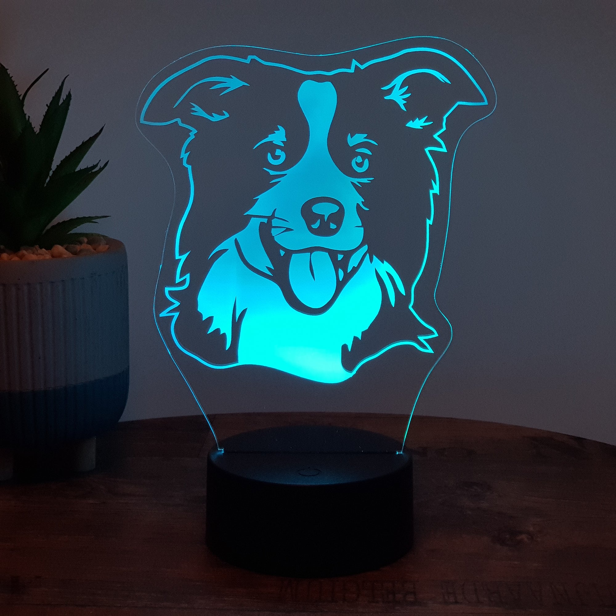 LED Lampe Hund / Border Collie