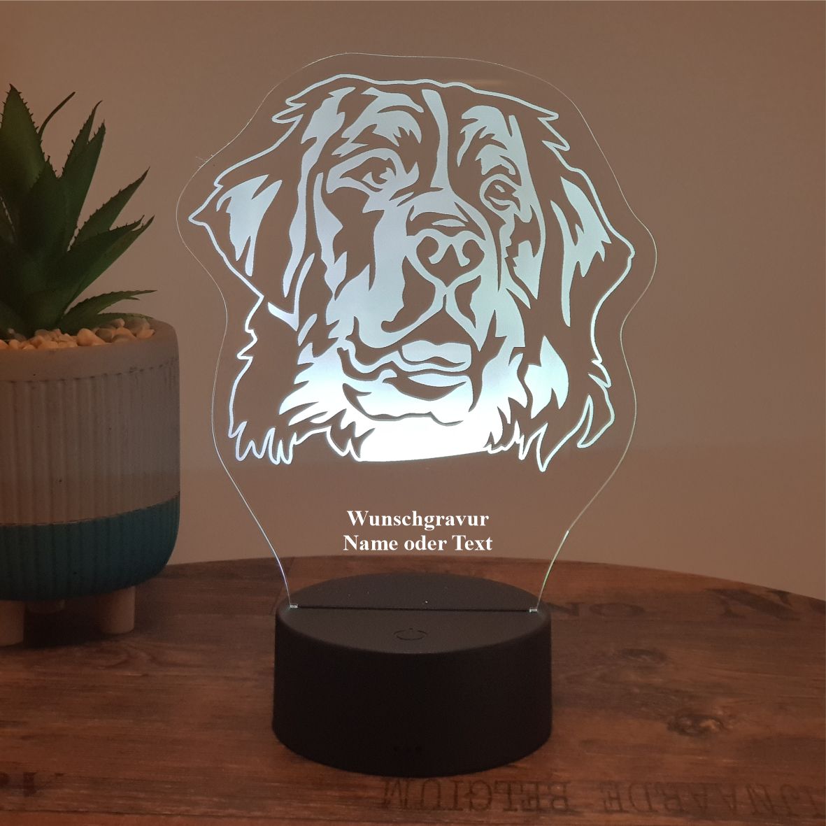 LED Lampe Berner Sennenhund - Lasereck