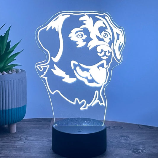 LED Lampe Labrador